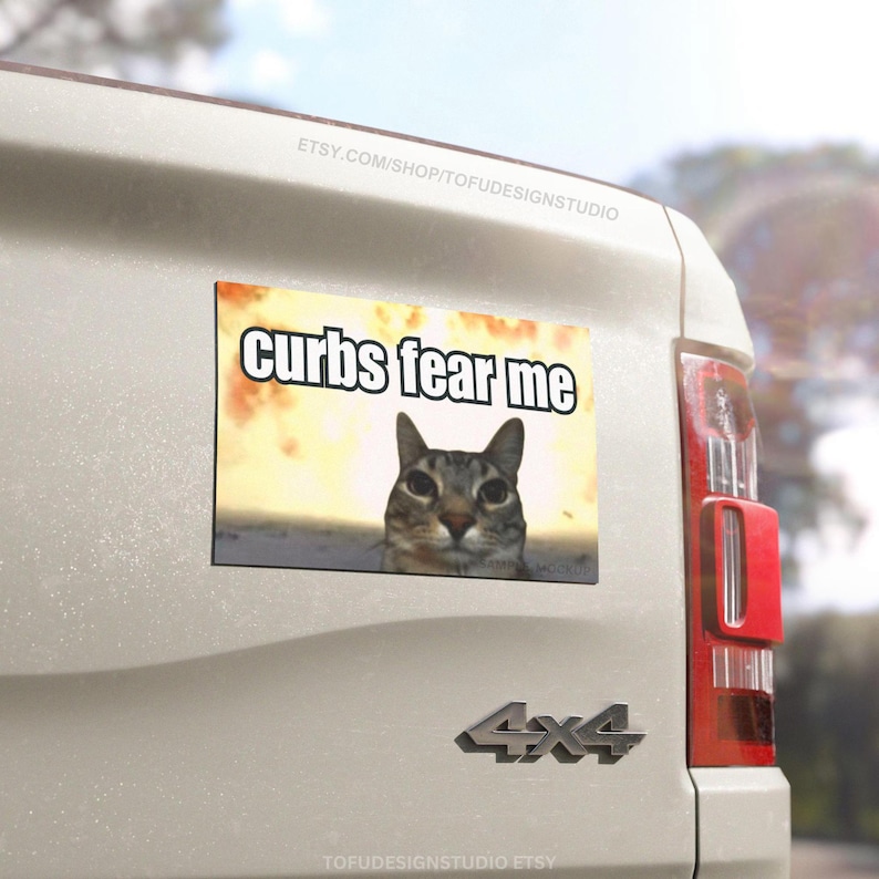 May include: A white car with a bumper sticker magnet that says "curbs fear me" with a picture of a funny cat meme in front of a yellow FIRE explosion.