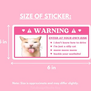 K&ouml;nnte beinhalten: Ein rosa-wei&szlig;er Warnhinweis-Aufkleber mit einer Katzenillustration und dem Text "WARNUNG: BETRETEN AUF EIGENES RISIKO. Ich kann nicht fahren. Ich bin nur eine dumme Katze. Miau miau miau. Schnallen Sie sich an!" Der Aufkleber misst 15,2 cm x 6,4 cm.
