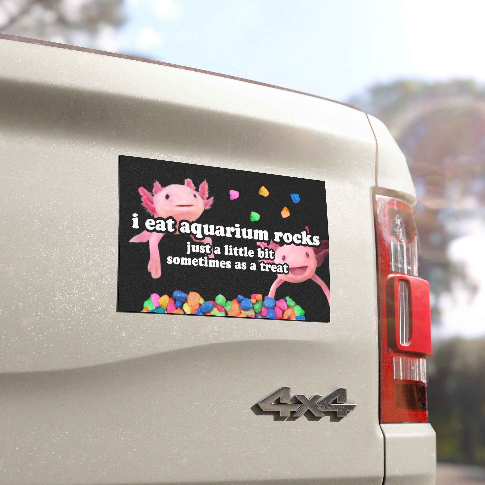 I Eat Aquarium Rocks, Just a Little Bit Sometimes as a Treat | Car ...