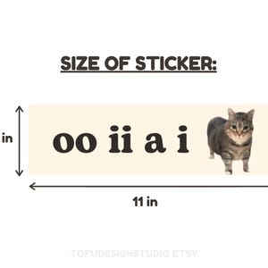 oo ii a i | Cat Meme Car Bumper Magnet OR Sticker | Cute Silly Spinning Cat Meme, Funny Kitty Car Accessory, | Magnetic Car Vinyl Decal STICKER 11" x 3"
