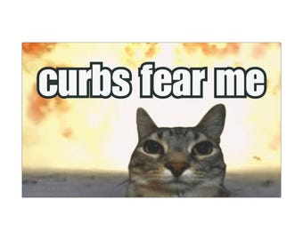 Imán o pegatina para parachoques de coche / Curbs Fear Me / Meme gracioso de gato, GenZ desquiciado, magnético, adorable pegatina para parachoques de coche / Vinilo impermeable para coche