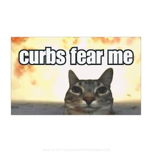May include: A cat with gray and brown tabby markings stares directly at the camera with a serious expression. The cat is in front of a blurry background of an explosion. The text 'curbs fear me' is written in black letters on a white background in the upper left corner of the image. Funny Cat Meme with fire explosion car magnet.