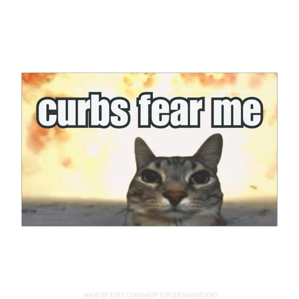 Imán o pegatina para parachoques de coche / Curbs Fear Me / Meme gracioso de gato, GenZ desquiciado, magnético, adorable pegatina para parachoques de coche / Vinilo impermeable para coche