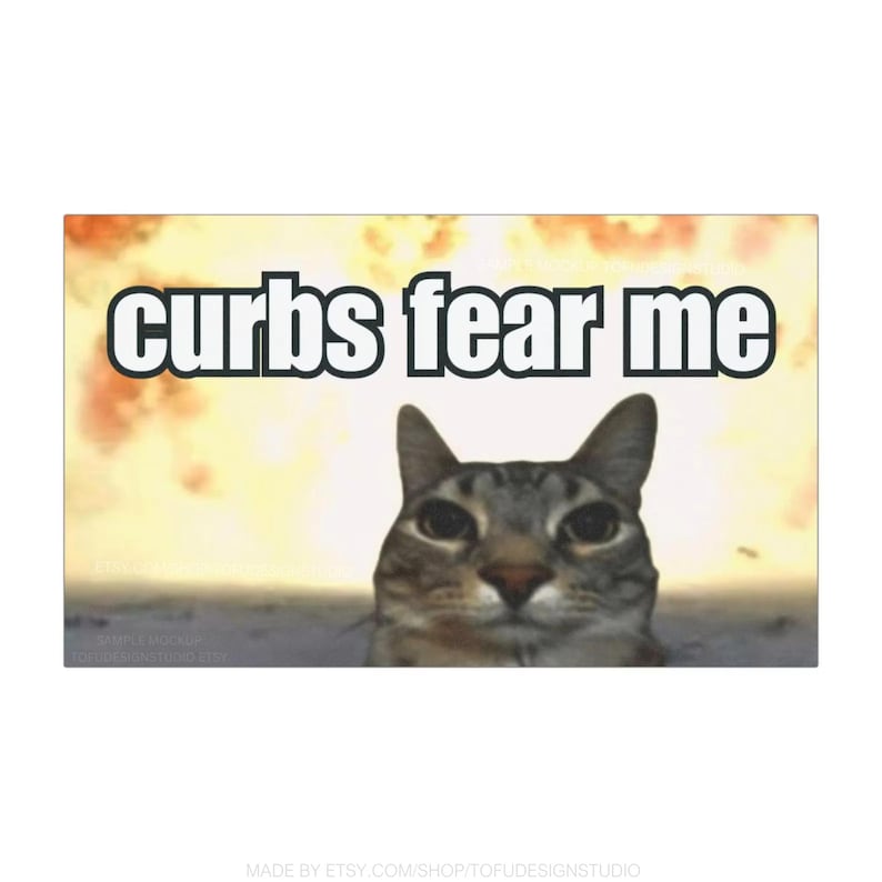 May include: A cat with gray and brown tabby markings stares directly at the camera with a serious expression. The cat is in front of a blurry background of an explosion. The text 'curbs fear me' is written in black letters on a white background in the upper left corner of the image. Funny Cat Meme with fire explosion car magnet.