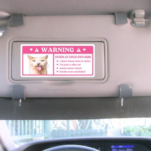 Silly Cat Meme Car Warning Sticker | Cute Funny Kitty, Caution Airbag Label, Kawaii Pink Car Accessory Decal | Vinyl Sticker for Car Visor
