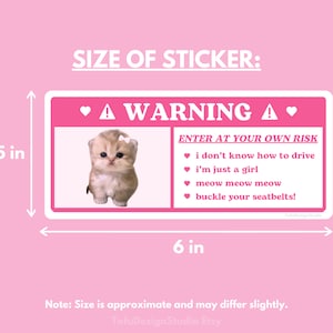 Cute Cat Car Warning Sticker | Pink Coquette Kitty Kawaii Girl Airbag Label, Car Accessories Decal | Waterproof Vinyl Sticker for Car Visor