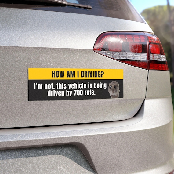HOW AM I DRIVING? I'M NOT! THIS VEHICLE IS DRIVEN BY 700 rats - FUNNY