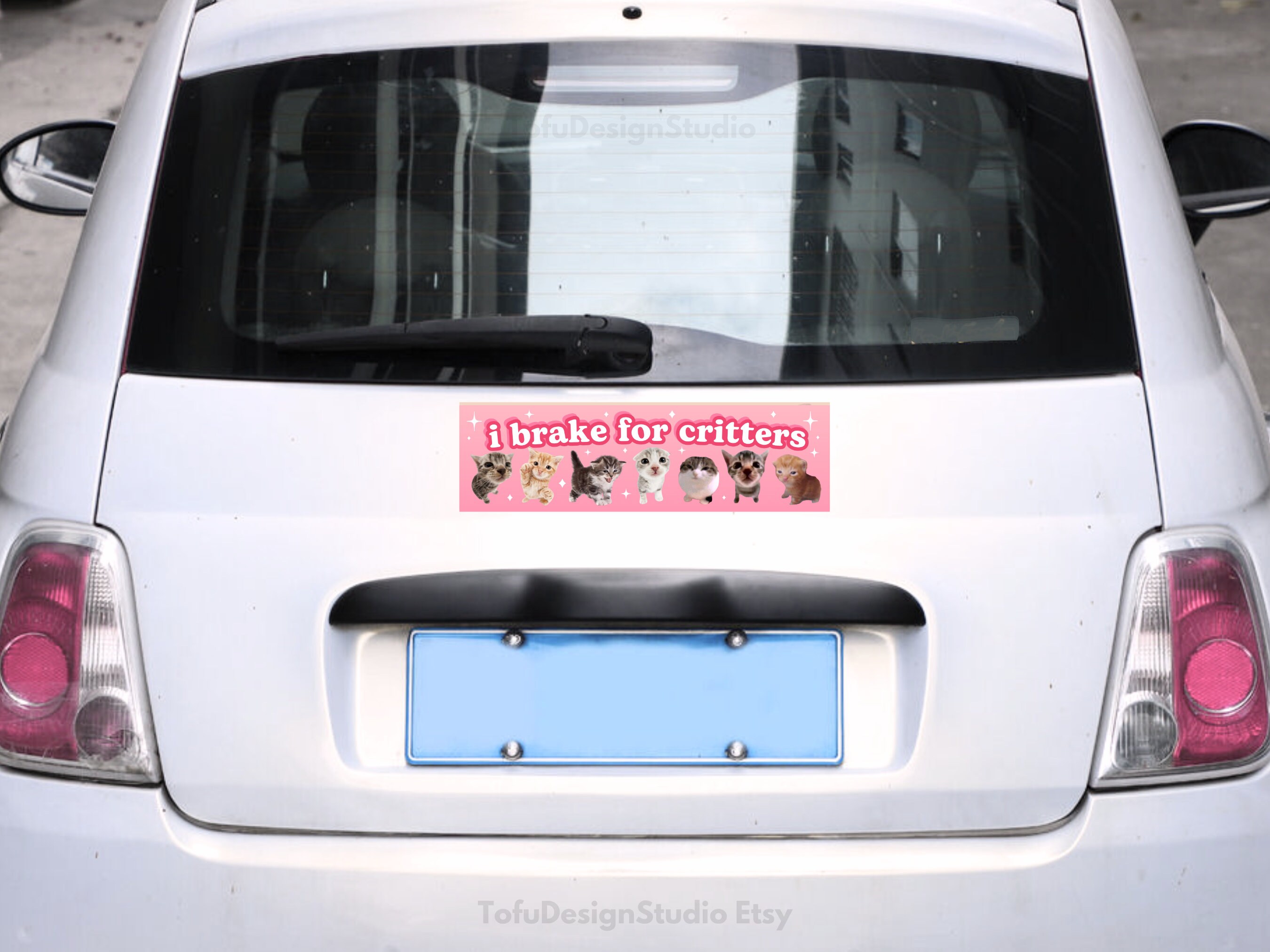 I Brake for Critters | Cat Meme Car Bumper Sticker | Funny Pink Cute ...