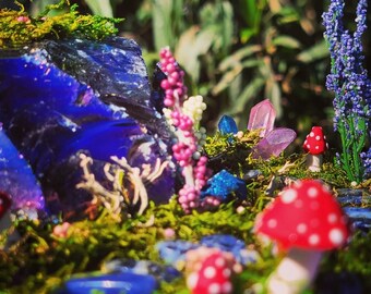 Multi-chrome Fairy Garden