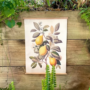 May include: A botanical print featuring lemons on a branch with leaves and white flowers. The print is displayed on a wooden scroll frame. The background is a wooden wall with green plants and ferns.
