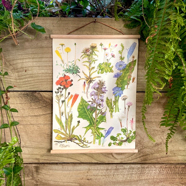 Meadow Flowers, Vintage Upcycled Wall hanging, Print from 1970, Unique Retro Wall hanging, Botanical Illustration