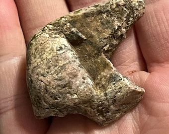 Native American Bird Stone Effigy | Prehistoric Relic, Ohio Find