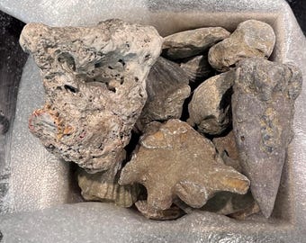 Geology Mystery Box, Fossils, Rocks, Minerals, Crystals