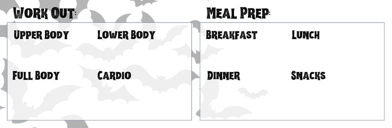 Frickin' Bats Daily Planner | Morning Routine, Schedule, Work ...