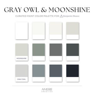 Moonshine Gray Owl Paint Color Palette Benjamin Moore Paint Palette Modern neutral house paint color scheme blue gray green black exterior