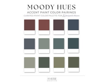 Moody Paint Color Palette Benjamin Moore paint palette house paint color scheme Modern earthy dark olive green intrigue hale navy blue black