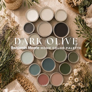 Dark Olive Benjamin Moore paint color palette hacienda house paint color scheme teal terracotta paint color earthy neutral paint colors 2026