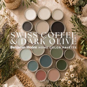 Swiss Coffee Benjamin Moore Dark Olive Green | Whole house paint color palette Olive Green Teal Terracotta paint Earthy neutral paint colors