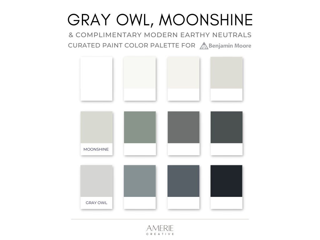 Gray Owl Moonshine Neutral Paint Color Palette Benjamin Moore Cool Gray