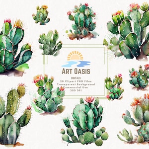 Paquete de imágenes prediseñadas de cactus de acuarela de 20 - Fondo transparente - Descarga digital de gráficos PNG - Cactus verde occidental - Uso comercial