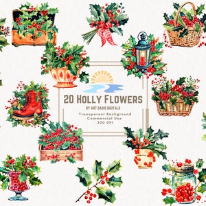 20 Holly Flowers Clipart Bundle Grudzień Urodziny Kwiaty PNG Akwarela Clipart Cyfrowe Pobieranie Kolorowy Rustykalny Vintage Junk Journal