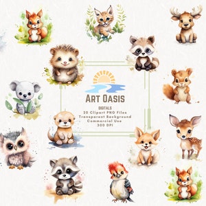 Lot de 20 cliparts aquarelle créatures des bois animaux cerf hibou renard fond transparent téléchargement numérique graphiques PNG usage Commercial