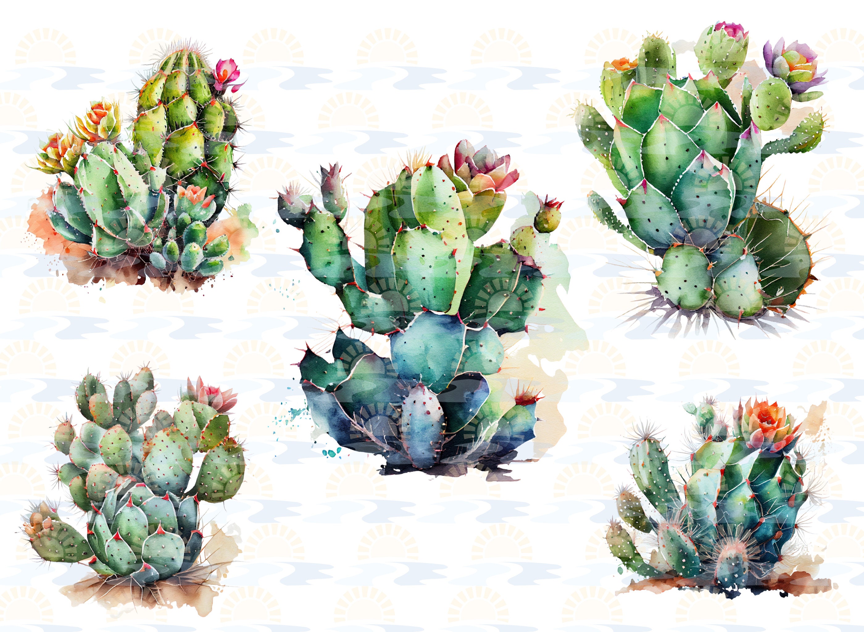 Watercolor Cactus Clipart Bundle – Transparent PNG Graphics (digital ...