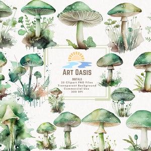 Watercolor Sage Green Mushroom Clipart Bundle of 25 - Transparent Background - Digital Download PNG Graphics - Commercial Use