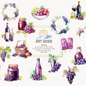 Pacchetto di clipart di acquerello uva frutta vino succo ramo di 20 - sfondo trasparente download digitale grafica PNG - uso commerciale