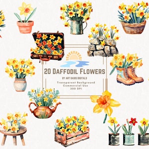 Bundle de 20 cliparts jonquilles fleurs pour le mois de naissance de mars PNG aquarelle des cliparts en téléchargement numérique Journal de la malbouffe vintage rustique coloré