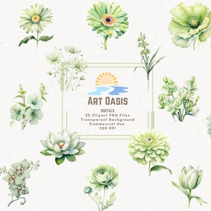 Watercolor Colorful Sage Green Flowers Floral Clipart Bundle of 20 - Transparent Background Digital Download PNG Graphics - Commercial Use