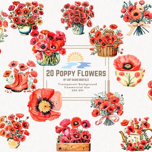 Lot de 20 cliparts fleurs de pavot fleurs du mois d'anniversaire d'août PNG en téléchargement numérique des cliparts aquarelle vintage rustique coloré Junk Journal