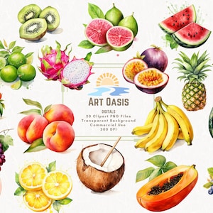 Acuarela Fruta Tropical Verano Comida Limón Clipart Paquete de 20 - Fondo Transparente Descarga Digital Gráficos PNG - Uso Comercial