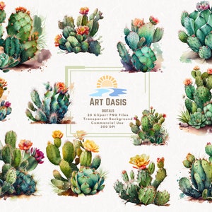 Aquarell Kaktus Clipart Bündel 20 - Transparenter Hintergrund - Digitaler Download PNG Grafiken - Westlicher grüner Kaktus - Kommerzielle Nutzung