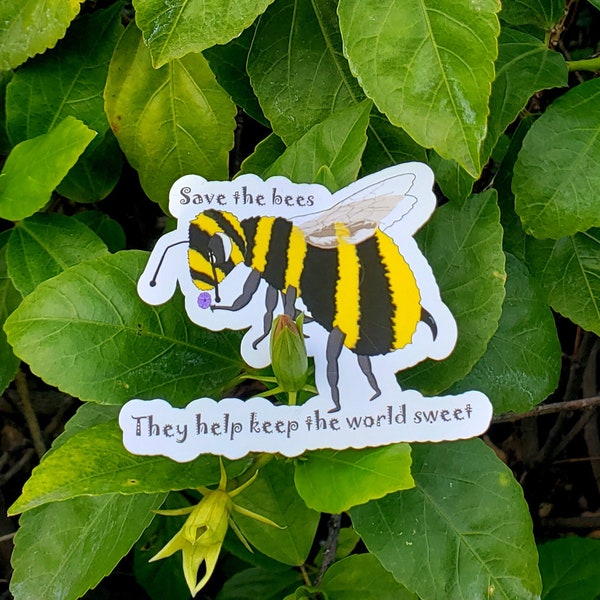 Cute Save the Bees sticker for biology environmental chemistry ecology entomology preservation nature gift honey
