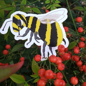 cute science honey bee envelope sticker for biology environmental nature ecology entomology preservation sustainable fashion gift image 1