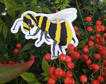 cute science honey bee envelope sticker for biology environmental nature ecology entomology preservation sustainable fashion gift