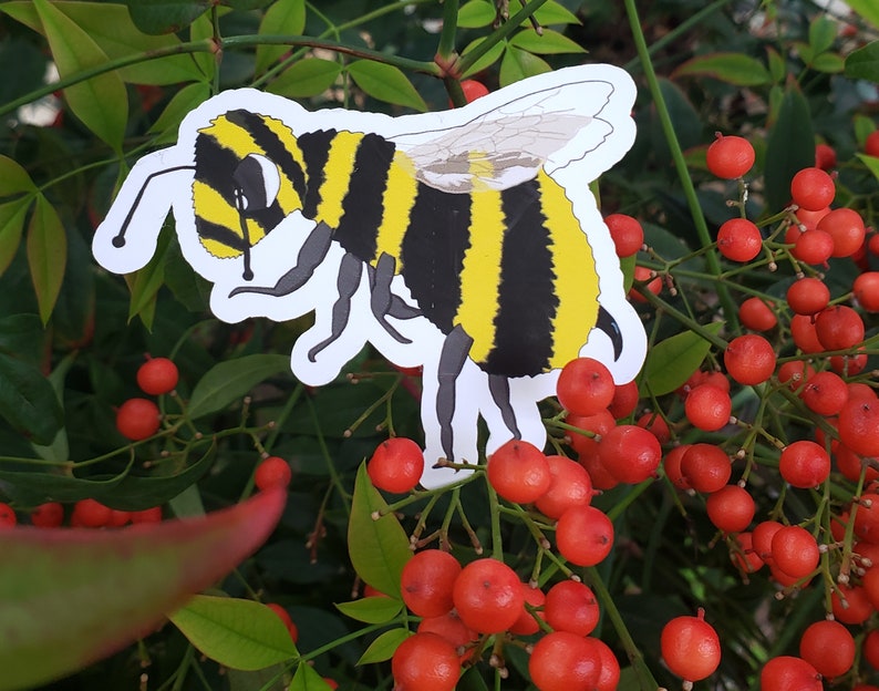 cute science honey bee envelope sticker for biology environmental nature ecology entomology preservation sustainable fashion gift 画像 1