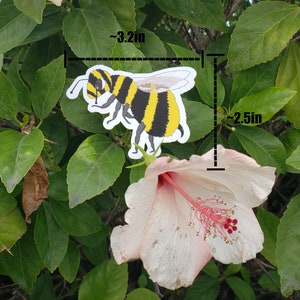 cute science honey bee envelope sticker for biology environmental nature ecology entomology preservation sustainable fashion gift image 2