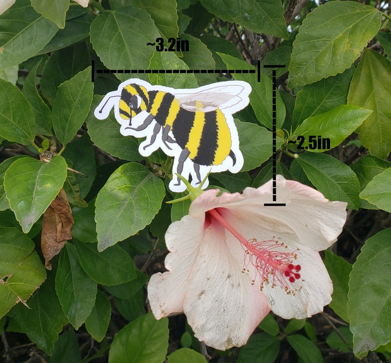 cute science honey bee envelope sticker for biology environmental nature ecology entomology preservation sustainable fashion gift image 2