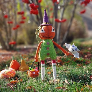 May include: A crocheted pumpkin doll wearing a purple witch hat and holding a bat and a candy bucket. The doll is standing in a grassy area with fall leaves.