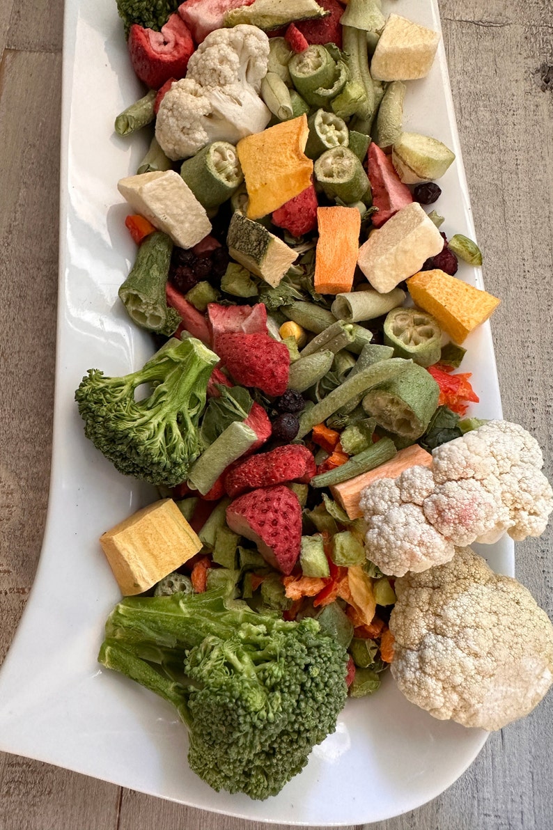 May include: A white ceramic plate filled with a variety of dried fruits and vegetables, including strawberries, cauliflower, broccoli, and green beans.

“Premium freeze-dried bird food by Runzas made with real fruits and vegetables for parrots”