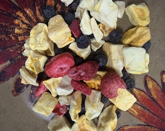 Organic Freeze Dried Fruit Parrot Food: Eclectus & Lories Mix