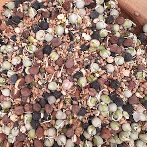 7 oz Organic Freeze Dry:&quot;Sprouted/Soaked” Sprouts (ready to eat) For all Birds/Parrots.