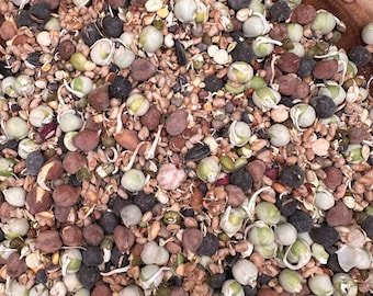 Organic Freeze Dry:"Sprouted/Soaked” Sprouts (ready to eat) For all Birds/Parrots.