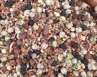 Organic Freeze Dry:"Sprouted/Soaked” Sprouts (ready to eat) For all Birds/Parrots.