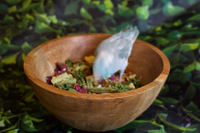 May include: A wooden bowl filled with a variety of dried vegetables and herbs. A light blue bird is perched on the edge of the bowl, looking down at the food.

“Runzas organic bird seed blend with dried vegetables, flowers, and herbs for parrots and small birds”