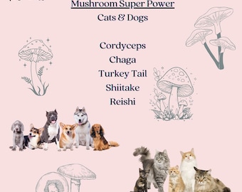 Organic Mushroom Powder for dogs 5 Shroon  powder for Cats & Dogs Supplements  human grade Mushroom Powder Healthy Dog and Cat Supplements