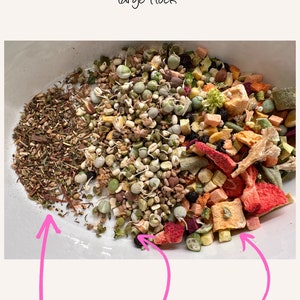 May include: A white bowl filled with a mixture of dried fruit, sprouts, and herbs. The bowl is labeled "Morning Breakfast for my medium to large Flock". The ingredients are labeled "Herb Blend", "Sprouts", and "Small Chop".