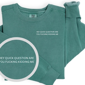 Hey quick question are you kidding me Comfort Colors Sweatshirt, funny sayings, funny cuss word shirt